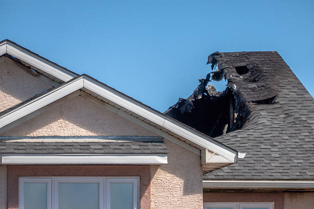 Top rated local Odor Removal specialists in Upper Black Eddy, PA